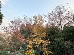 -乌山风景区