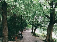 -成都市活水公园