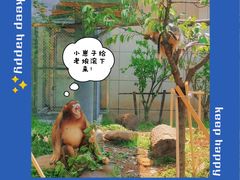 -合肥野生动物园