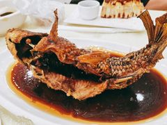 挣蹦鲤鱼-奥华餐厅·老张记(台基厂店)