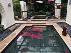 -苏州湾·王焰温泉
