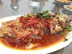 -向民炒鸡老店(金泰华府店)