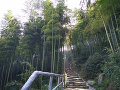 -山沟沟景区