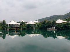 -帐篷客·溪龙茶谷度假酒店