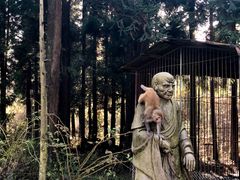 -武陵山森林公园