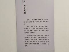 -旅顺博物馆