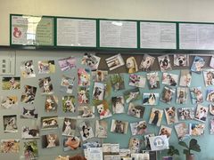 -爱妮康宠物医院·干细胞免疫细胞·肿瘤·心脏(张江店)