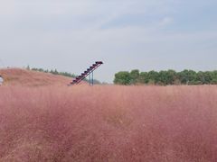 -嘉北郊野公园