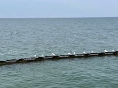 -大理洱海
