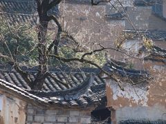 -杨家堂村