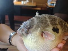 -永安鱼庄·镇江菜(丁卯店)