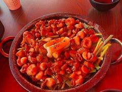 首尔一品肥肠-首尔大排档
