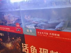 -三江源活鱼现烤(维多利摩尔城店)