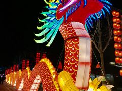 -淹城春秋乐园