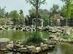 -北京野生动物园