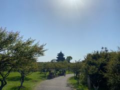 -上海海湾国家森林公园