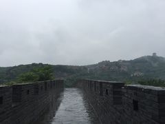 -黄贤森林公园