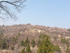 -白水寺森林公园