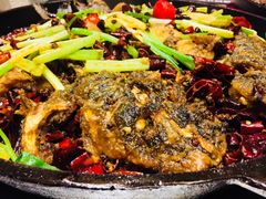 -老板恋上鱼(恒隆广场店)