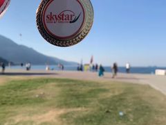 -费特希耶滑翔伞