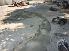 -昆明动物园