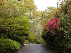 -西湖风景区-江洋畈生态公园