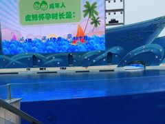 -上海海昌海洋公园