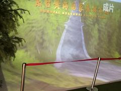 -黄海国家森林公园