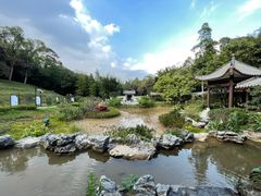 -广州市白云山风景名胜区