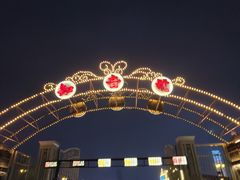 -武汉知音号