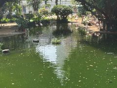 -九龙公园