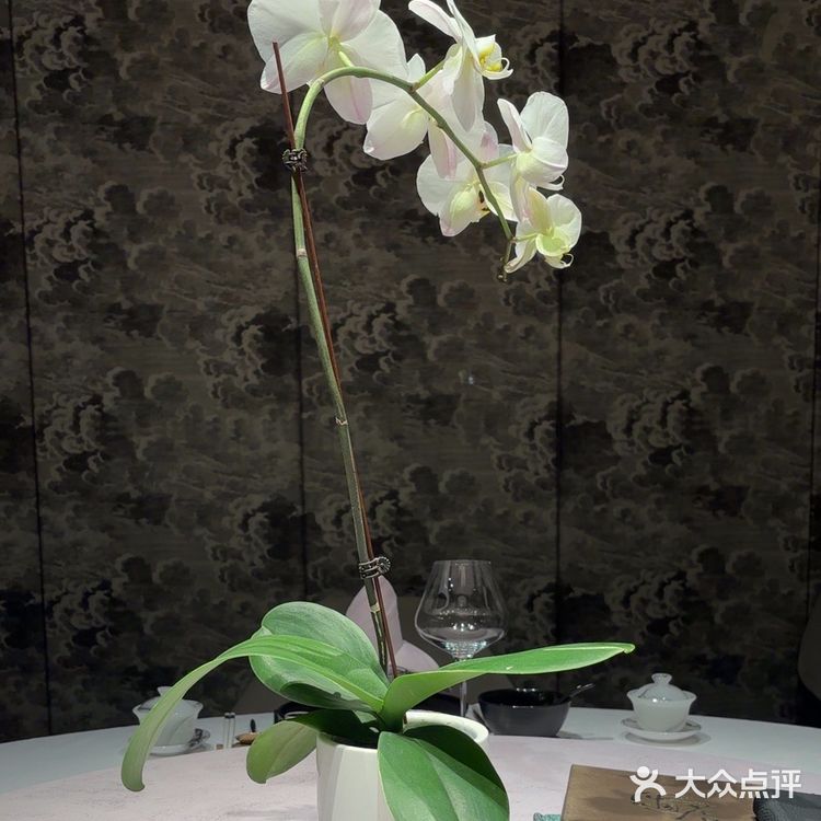 藏在宝山区的江南韵味|黛瓦宴