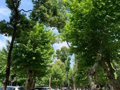 -四川大学(望江校区)