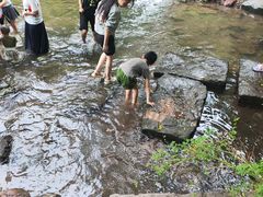 -重庆彩云湖湿地公园