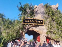 -大槐树寻根祭祖园