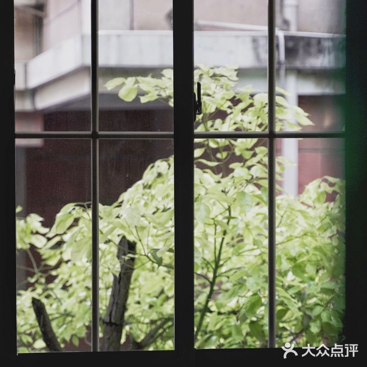 光影的艺术‼️南京紫金山下艺术馆，0元看展拍照胜地