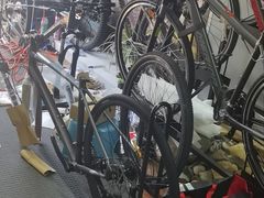 -道路口单车爱瓦士dahon大行