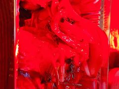 -友坐OMNI(民园广场店)