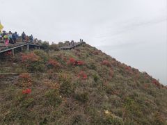 -广东天露山旅游度假区