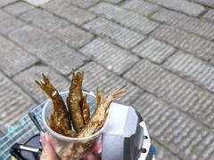 -靖港古镇