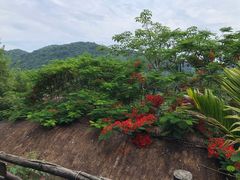 -海南槟榔谷黎苗文化旅游区