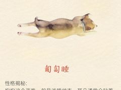 -北京派仕佳德动物医院·超导核磁·CT·神经科·骨科·内外科·急重症管理中心