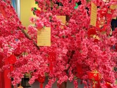 -上海乐高探索中心