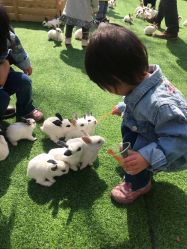 -萌宠亲子动物乐园(槐房万达店)