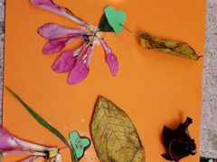 -大碗厨 25年老字号 现炒湘菜(四季天地店)