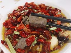 香辣鸡血-丹虾|文和友小龙虾·烙锅(陕西路旗舰店)