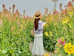 -中国天府农业博览园