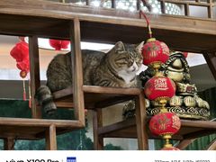 -九寨沟石锅鱼(沣峪口二十年店)