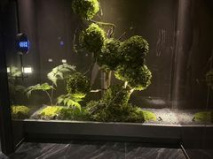 -唐宫足道·SPA·影院会馆(木渎店)