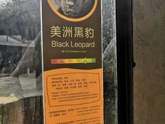 -杭州野生动物世界